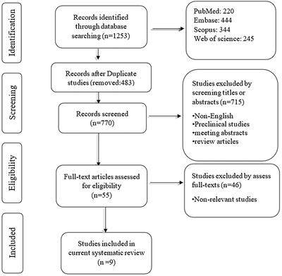 A Systematic Review to Clarify the Prognostic Values of CD44 and CD44+CD24- Phenotype in Triple-Negative Breast Cancer Patients: Lessons Learned and The Road Ahead